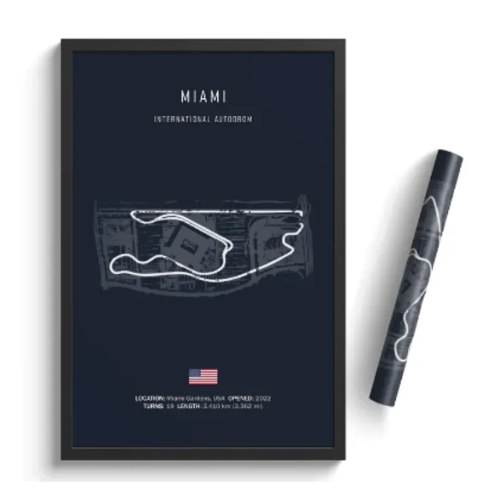 F1 Speedster Art Canvas