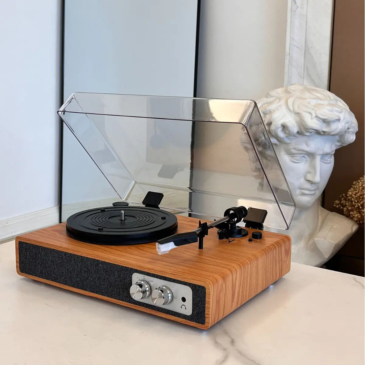 Retro Bluetooth Vinyl Speaker